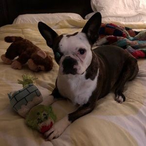 Meet your Posher, Angela